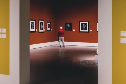 Museumsportal museum.de