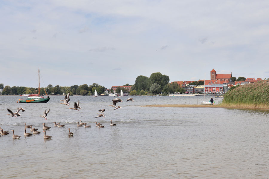 Waren und Binnenmüritz