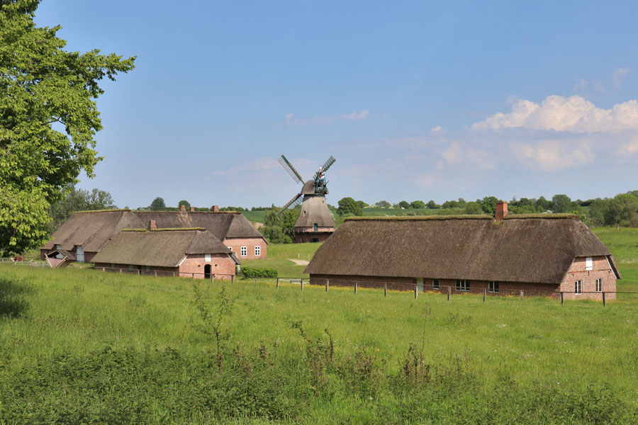 Freilichtmuseum Molfsee - Häuser aus Nordfriesland und Windmühle aus Hollingstedt