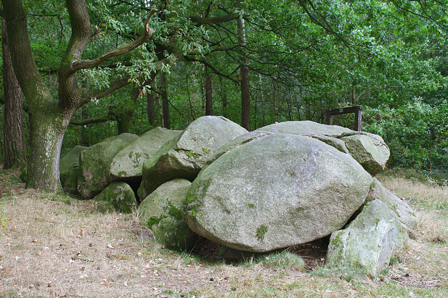 Großsteingrab am Wiemelsberg