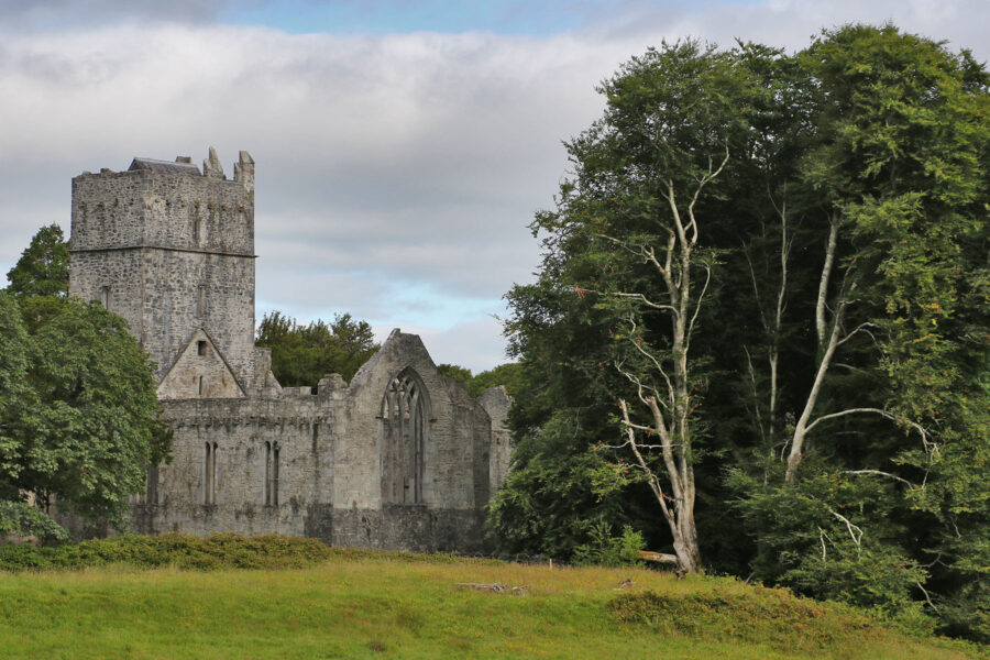 Muckross Abbey