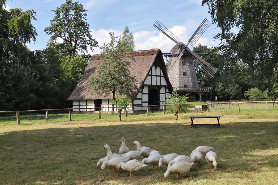 Museumsdorf Cloppenburg - Heuerhaus und Kappenwindmühle