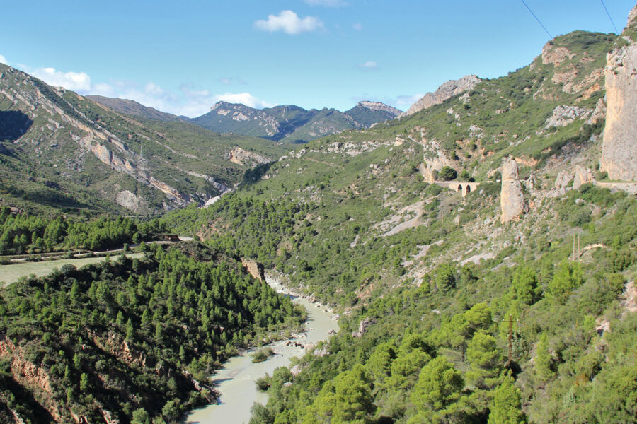 Rio Gallego