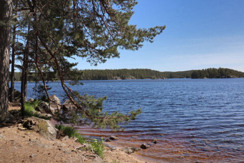 Nationalpark Tiveden