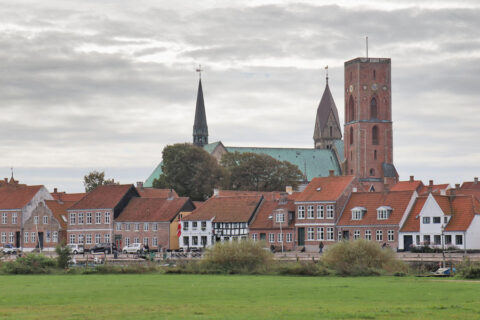 Altstadt Ribe mit Hafen und Dom