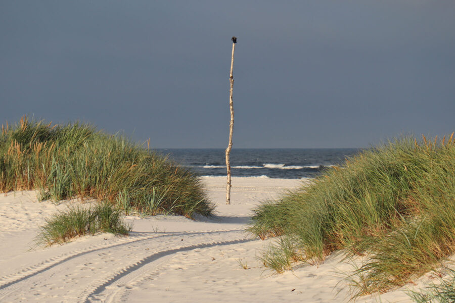 Bornholm - Strand bei Dueodde