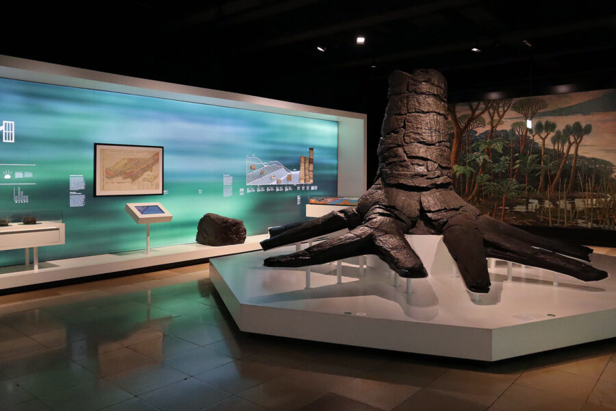 Deutsches Bergbau-Museum - Karbonbaum