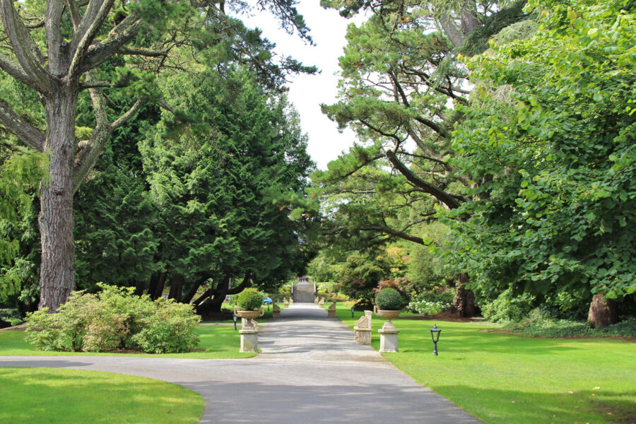 Cong - Ashford Castle - Gartenanlagen