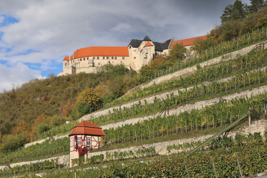 Freyburg an der Unstrut - Herzoglicher Weinberg