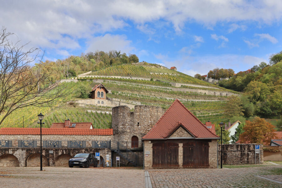 Freyburg an der Unstrut - Stadtmauer und Weinberge