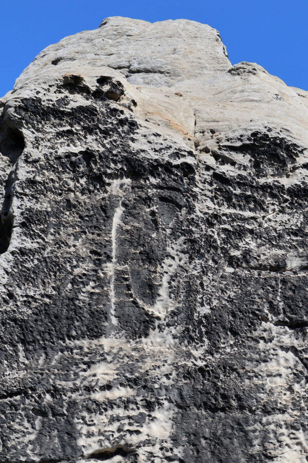 Burg Regenstein - Relief mit brandenburgischem Adler